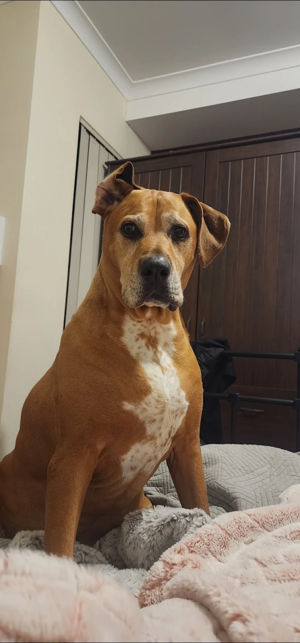 Review image 2 from Azza Fellows